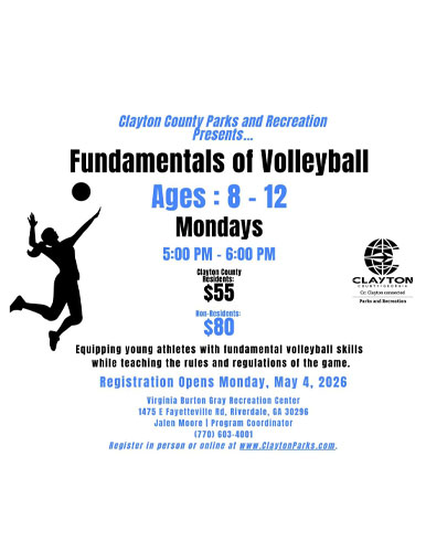Volleyball Flyer
